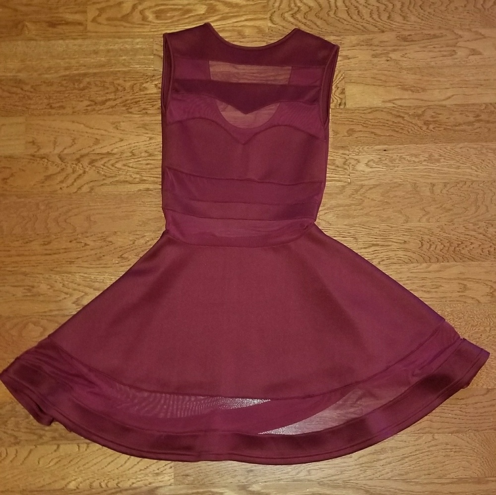 Mesh Skater Dress - Picture 6 of 6
